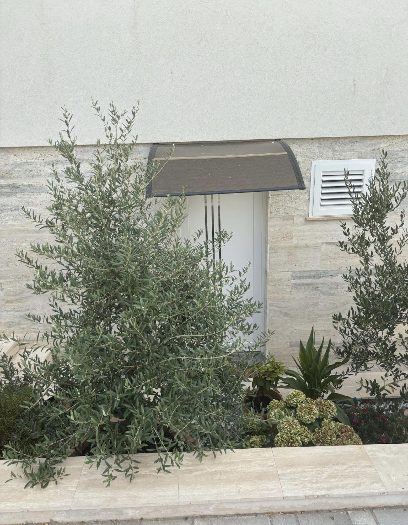 Vila Regina Apartment Paloma With Swimming Pool Jezera Exterior photo